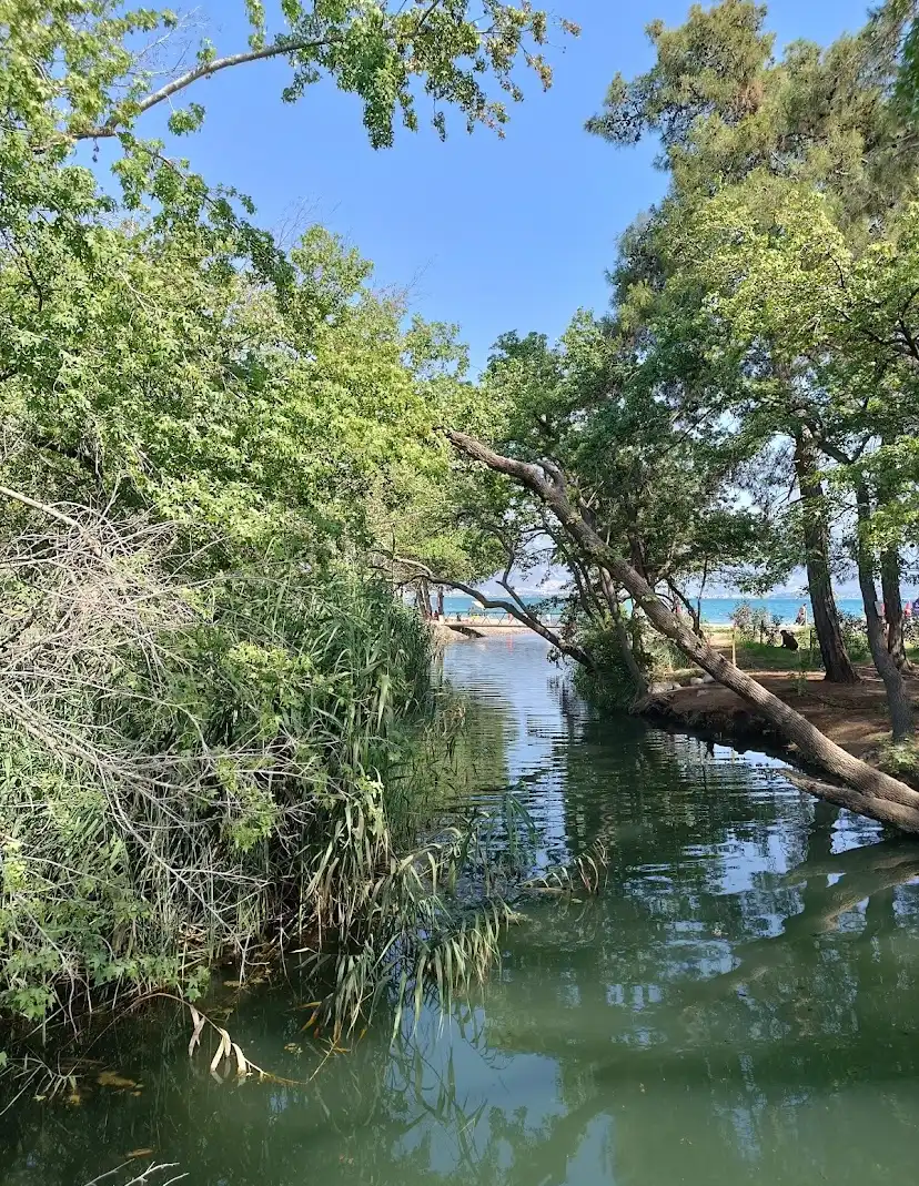 Sağlıklı Besleme: Çalış'ta Organik Piyasalar Bulma