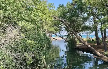 Sağlıklı Besleme: Çalış'ta Organik Piyasalar Bulma