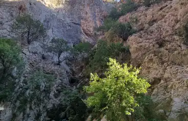 Kalkan’ın Yaban Hayatı Nasıl Deneyimlenir