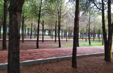 Doğa Yürüyüşleri: Kalkan’ın Flora ve Faunasını Keşfetmek