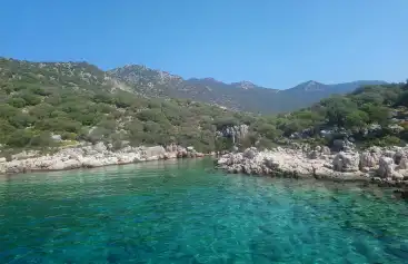 Kalkan'da Kalırken Yerel Çiftçileri Nasıl Desteklenir