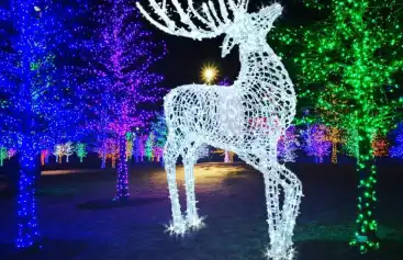 Kaş' ta Yılbaşı Kutlamak: Villa Seçenekleri