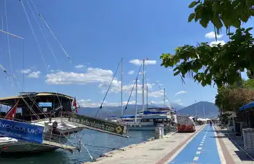 Doğa Yürüyüşleri: Fethiye’nin Flora ve Faunasını Keşfetmek