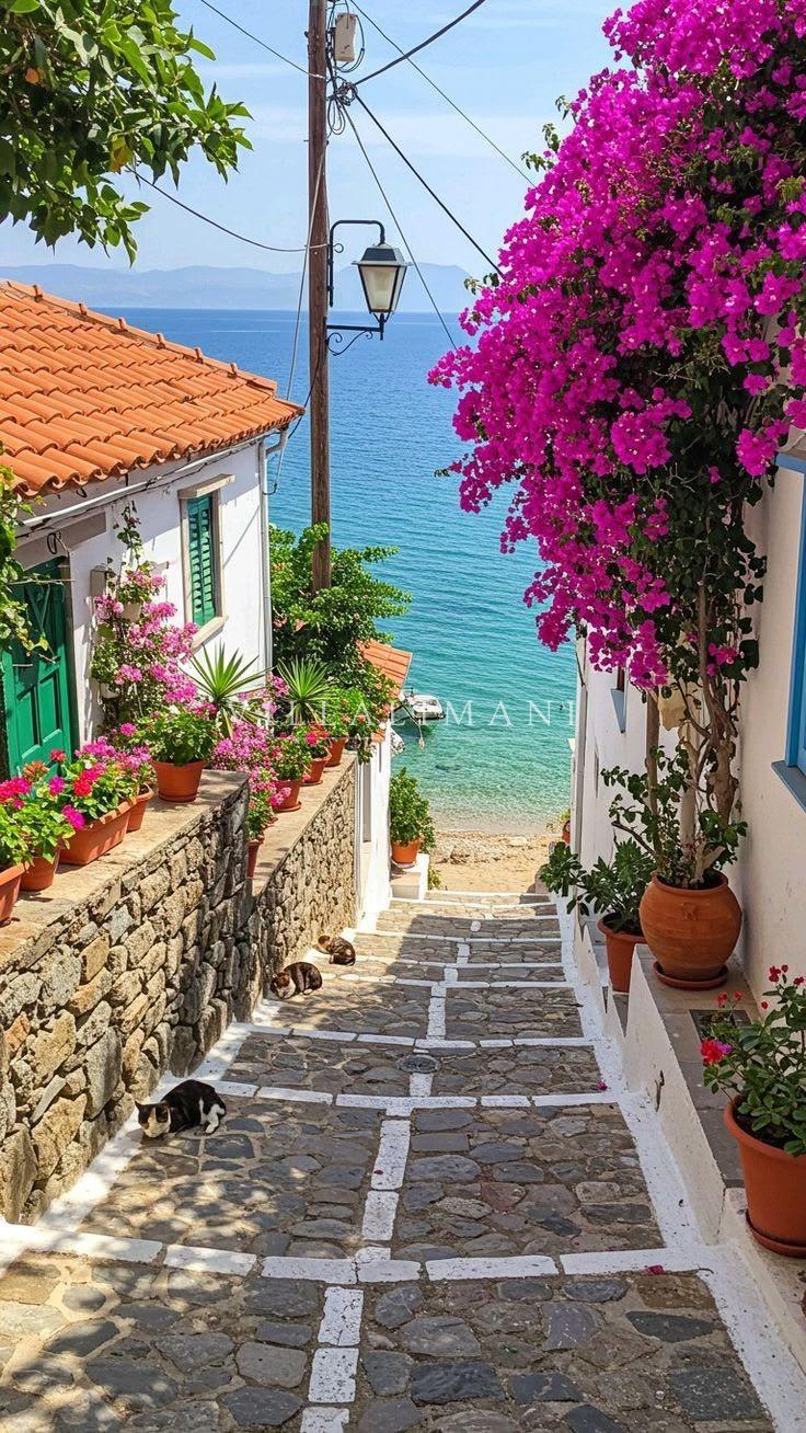 Kalkan