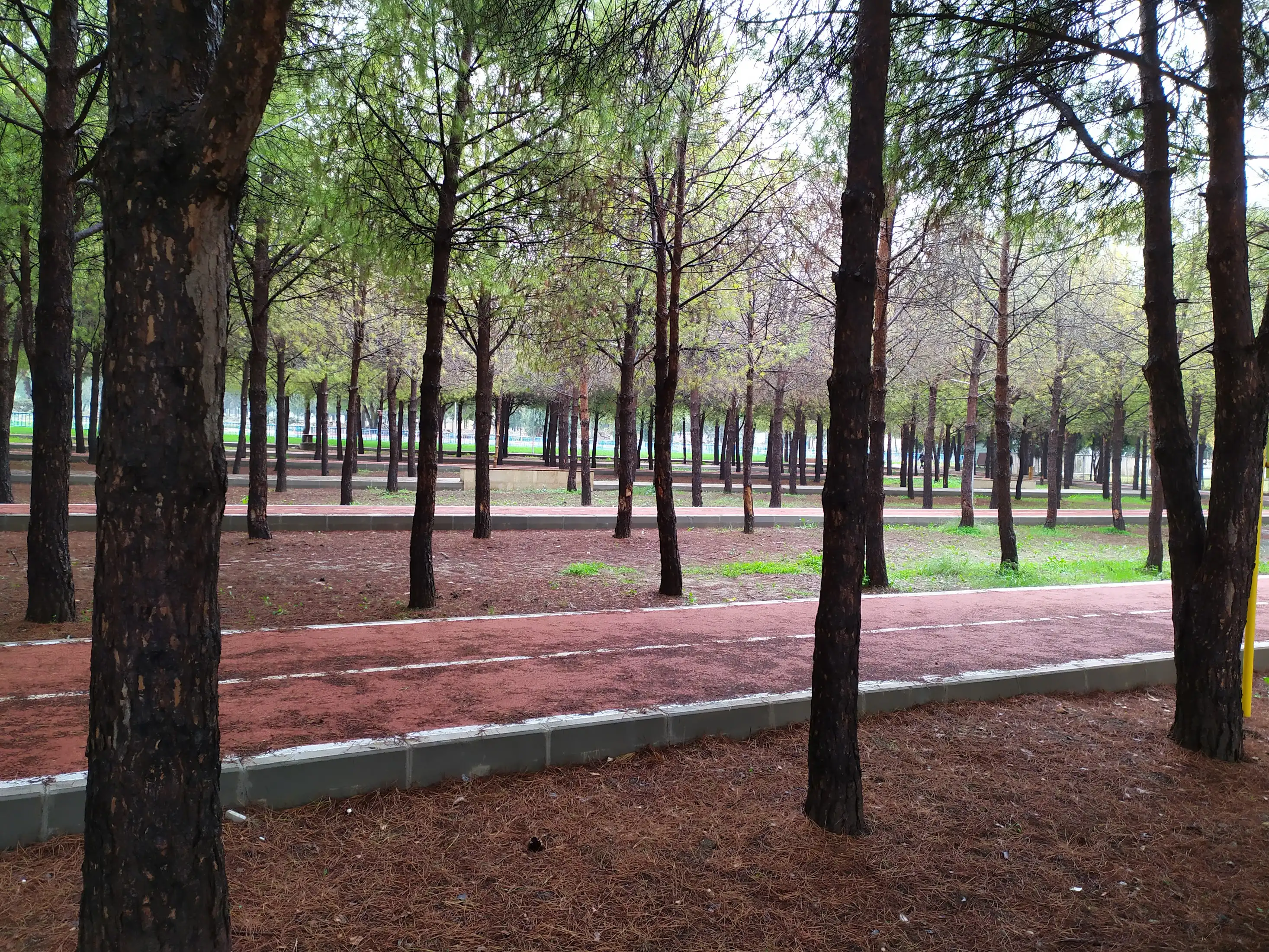 Doğa Yürüyüşleri: Kalkan’ın Flora ve Faunasını Keşfetmek