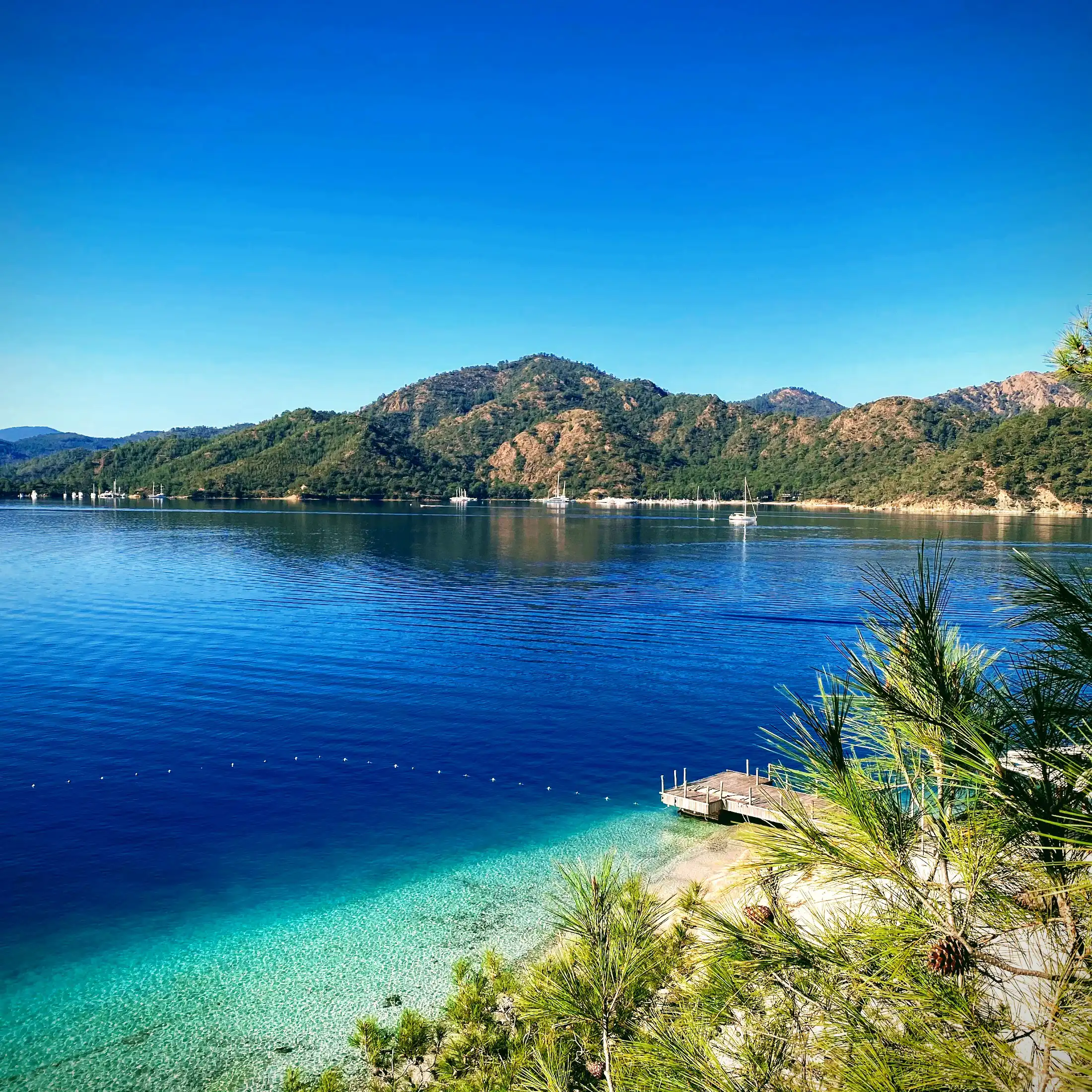 Fethiye'nin Mutfak Sahnesini Keşfetmek: En İyi Yerel Yemekler