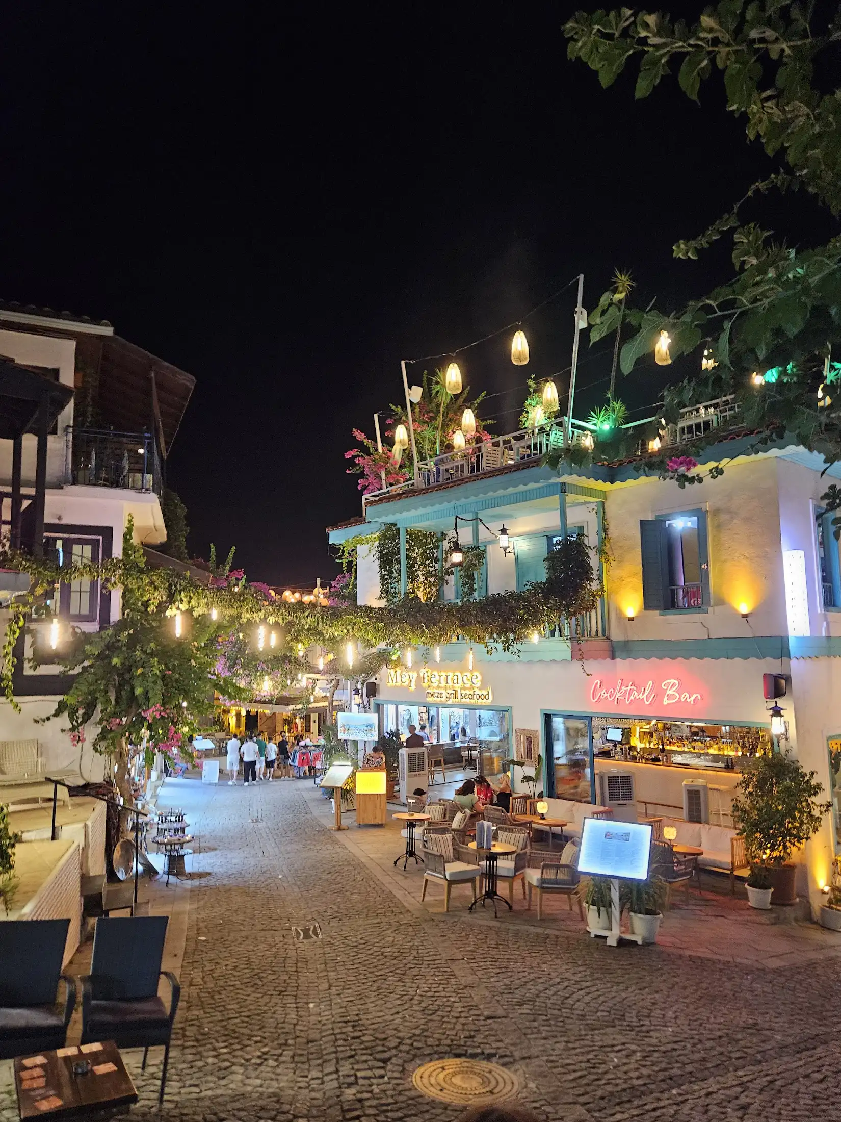 Yerel Şaraplar ve Şarap İmalathaneleri: Villa Misafirleri İçin Bir Rehber