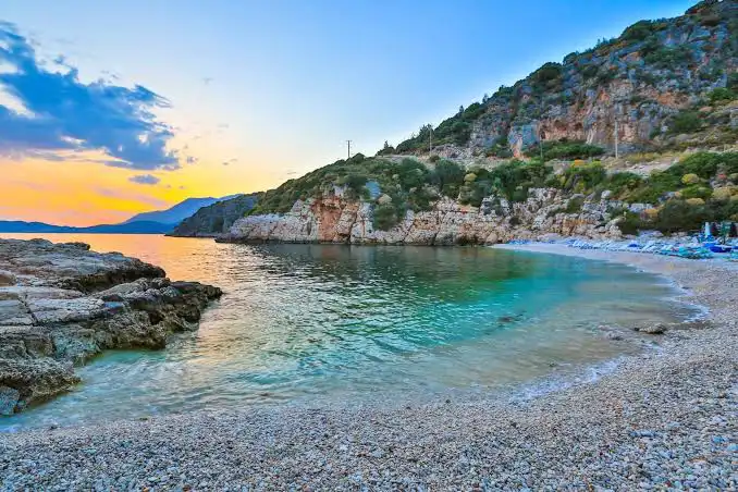 Kalkan için Kapsamlı Bir Kılavuz: Ne Beklenmeli