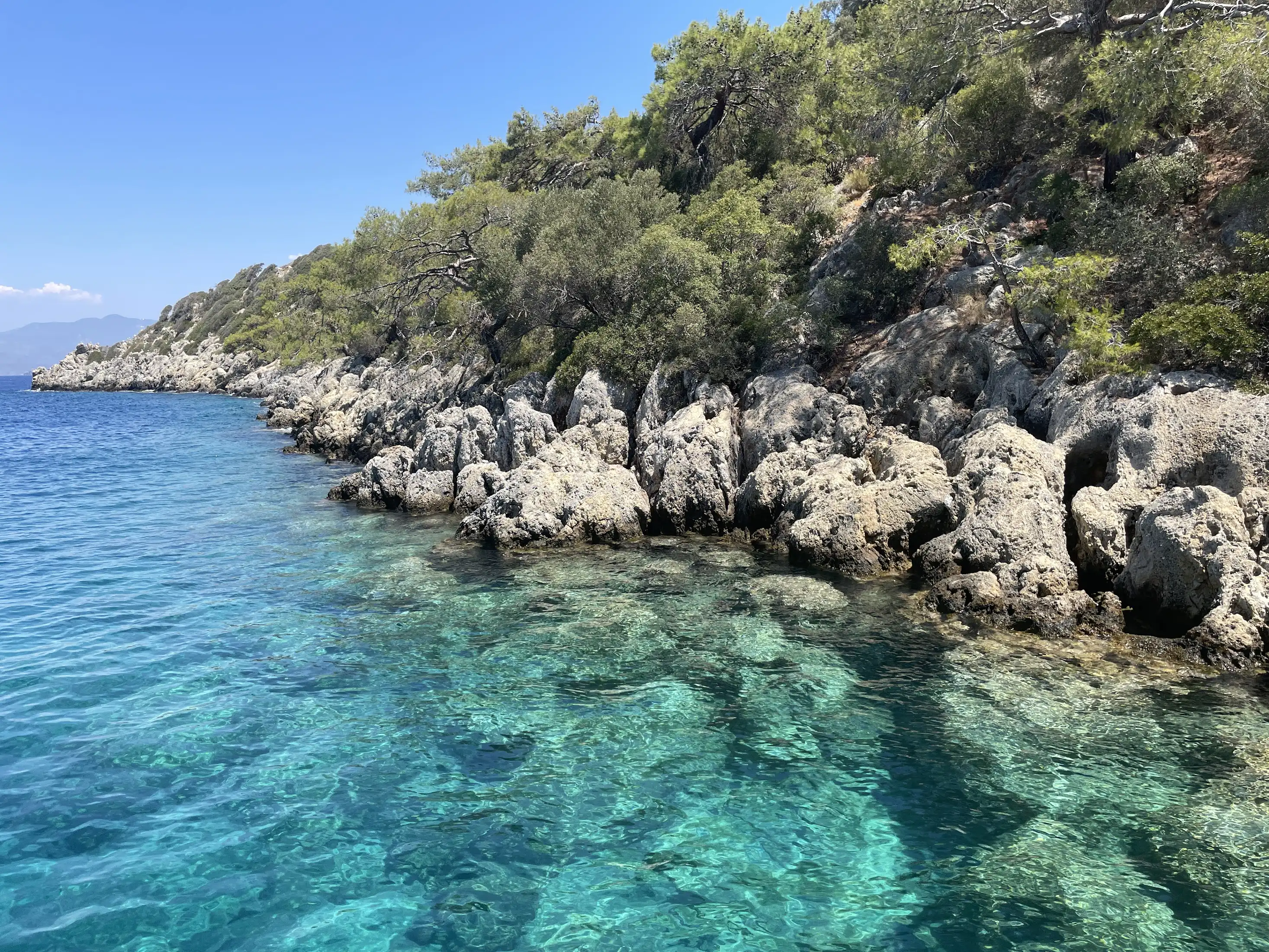 Ölüdeniz'deki Kilometre Taşlarını Kutlamak İçin Benzersiz Fikirler