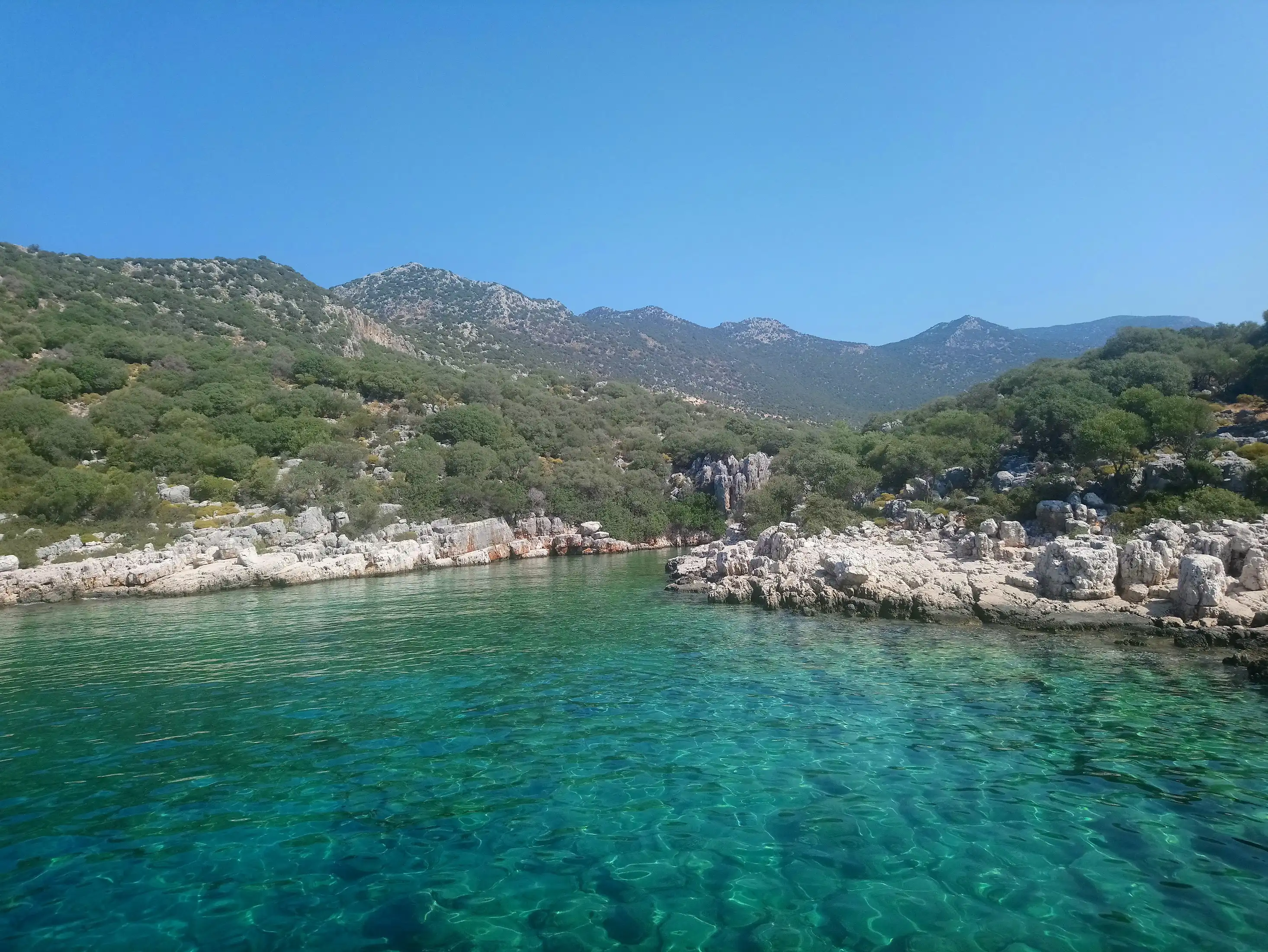 Kalkan'da Kalırken Yerel Çiftçileri Nasıl Desteklenir